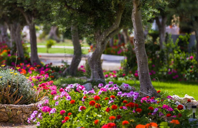 Fata Morgana Studios & Apartments - Foto 58