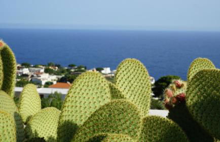 LE CASETTE DI MALFA - Foto 46