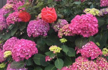 La Clé de Taulé - Foto 68