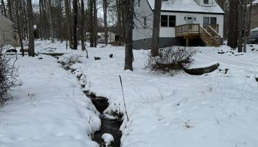 The Flying Dutchman Cottage in amenities filled Masthope community Ski Big Bear - Foto 4, Garden