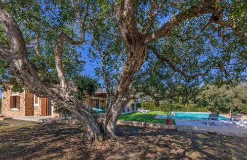 Son Guillot De'n Pedro - Foto 27