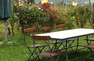 Cascina La Maddalena Bed & Wine - Foto 68