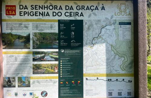 Quinta-lina de serpins - Foto 71