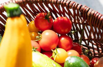 Eco-lodges Lacanau Moutchic Inn - 4 pers - Foto 40