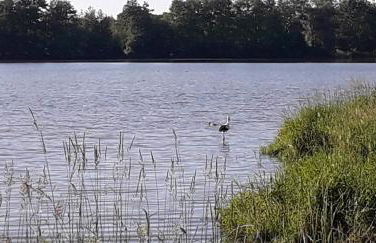 La Porte de la Dombes - centre ville - 50m2 - classé 3 étoiles - Foto 26