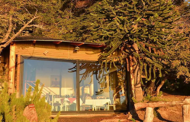 Apart Hotel La Busqueda - Foto 50