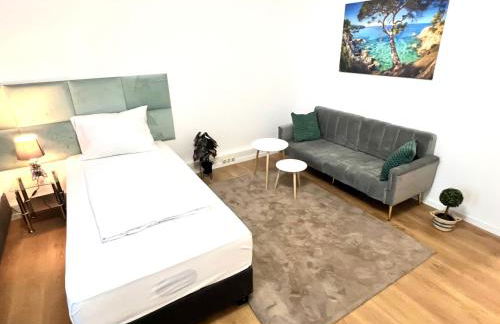 BIG New 7Rooms City Center APARTMENTS and Suites - Foto 66