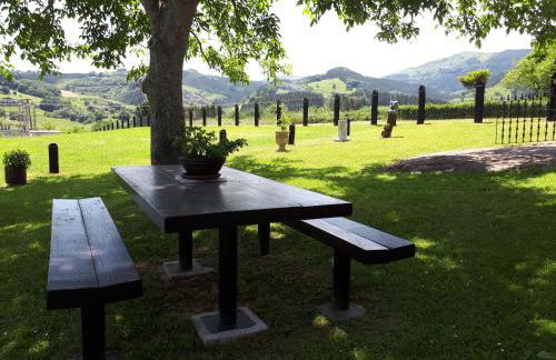 Txanpardin - Foto 67