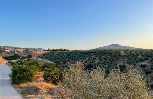 Casa Rural La Moraleja - Foto 42