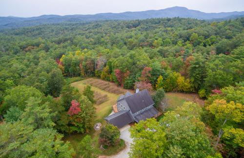 Jewel of the Woods - Foto 51