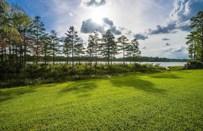 Swiss 101 - Lake Olsen - Photo 25