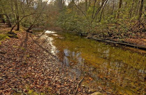 Sweet Serenity Creek - Foto 44