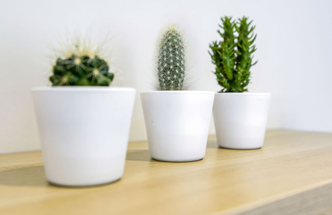 Holiday Home in Gros Fays With Garden - Foto 28