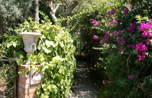 Villa Matisse - Damecuta Park - Foto 15