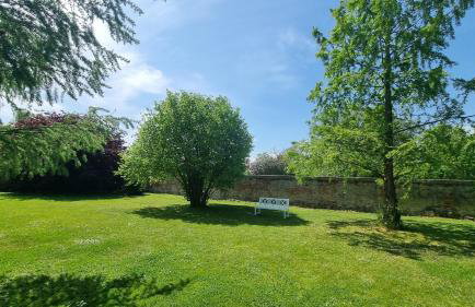 Gutshof Kämmerich - Fewo Dachshöhle - Foto 17