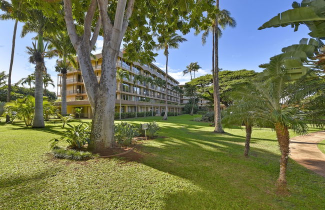 Maui Kaanapali S #b143 0 Bedroom Condo by RedAwning - Foto 22