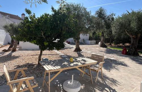 Cantinho do Baloiço - Foto 13