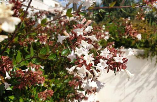 Abelia, two terraces, hot tub, free parking - Foto 50