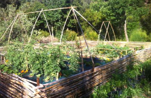 Les jardins de Foata - Foto 33