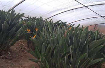 Casa da Avó do Puto - Foto 40