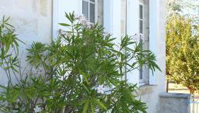 Domaine de Gorre - Foto 5