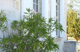 Domaine de Gorre - Foto 5