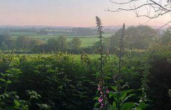 Dromore House Historic Country house - Foto 79