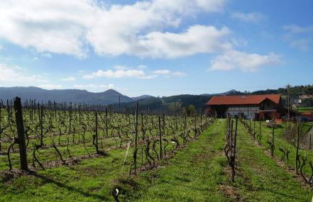 H&AP Rural Merrutxu - Foto 53