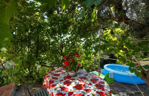 Borgo Case Lucidi relax - Foto 44