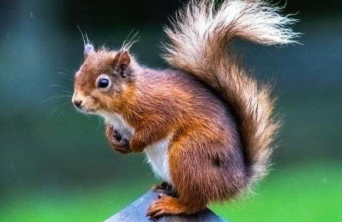 Settlers Lodge - Foto 14