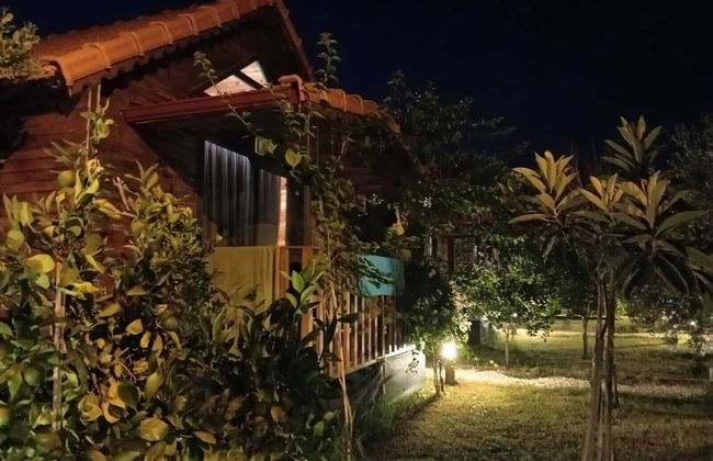 Riviera Bungalow Evleri Demre - Photo 78