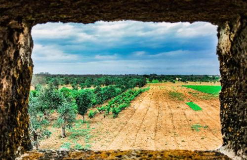Masseria Tornesella Don Giuliano - Foto 67