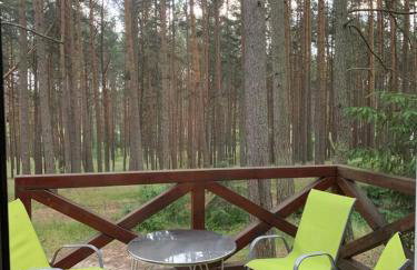 Domek wypoczynkowy w lesie nad jeziorem - Foto 16