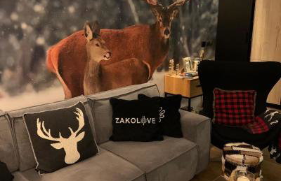 Apartament ZAKOLOVE pod Skocznią - Sauna , Jaccuzi , piękny taras - Foto 1