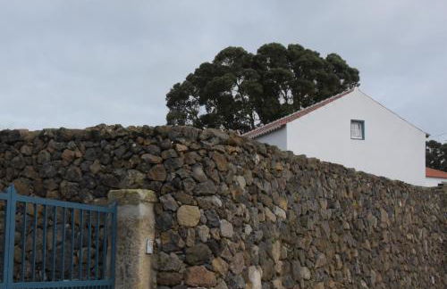 Canário do Mar - Rural Tourism - Photo 9