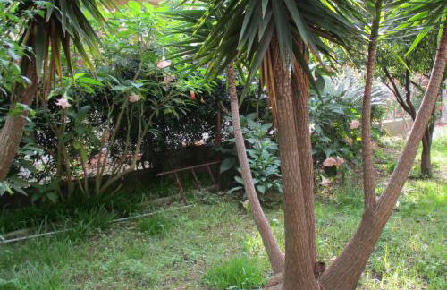 RESORT Giardino degli aranci - Casa Lisca - Foto 13