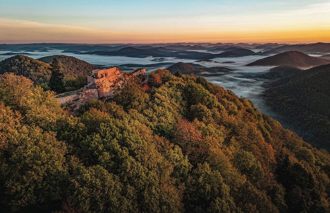 Landgasthaus zur Krone - Photo 19