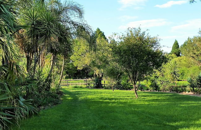 Pine Tree Lodge - Foto 46