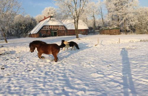 Ferienwohnung Süderfeld - Foto 80