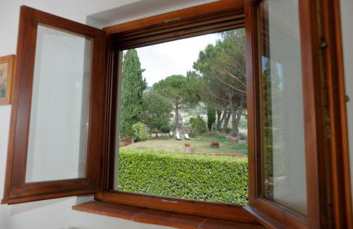 Podere I Sorbi - Foto 33