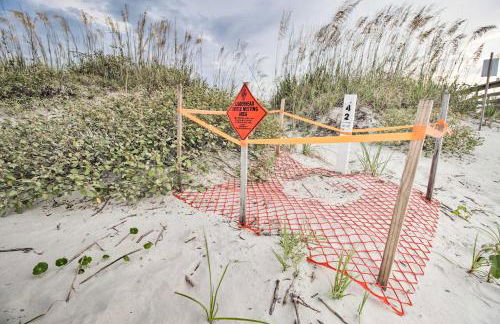 Oceanfront St Helena Island Condo with Beach Access! - Foto 30