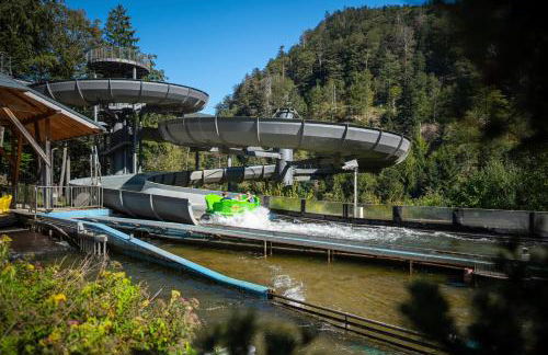 Mitten auf dem Feldberg Panorama Apartment Bergglück - Foto 27