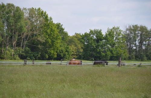 Ferienhaus Am Park - Foto 22