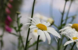 Gite sous-terre - Foto 24