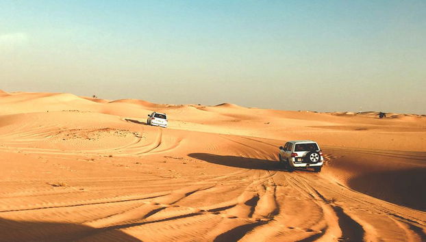 Safari Matinal - Photo 4