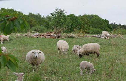Ferienwohnung Schmilau - Foto 17