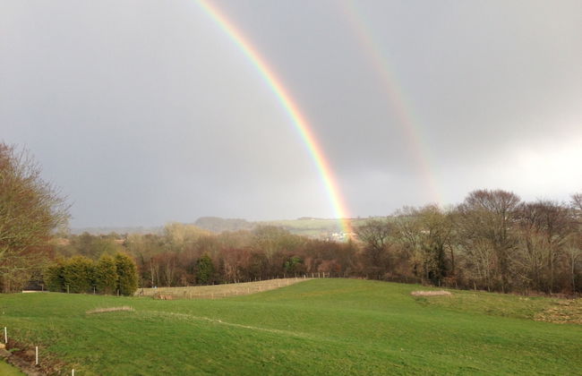Courtyard Cottage - Adults Only - Photo 23