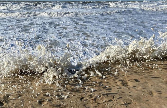 Apartment With sea View Near Raversijde - Photo 30