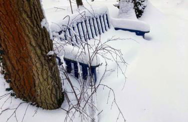 Ferienhaus Fuxbau - Foto 6