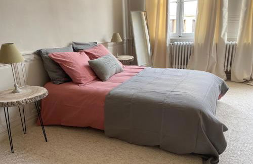 Hôtel particulier Champenois - Foto 34